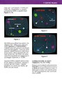 Asteroids Atari instructions