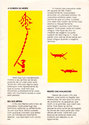 Jungle Hunt (Caçada na Selva) Atari instructions