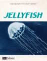 Jellyfish Atari tape scan