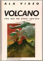 Volcano Atari disk scan
