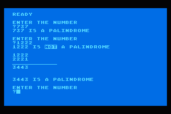 Numeric Palindrome