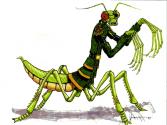 Arlo Armadillo Vs. The Bugs Below Trivia