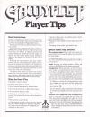 Gauntlet - Player Tips