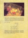 Black Cauldron (The) Atari instructions