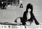 Elvira - Mistress of the Dark Atari disk scan