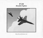 F-19 Stealth Fighter Atari instructions