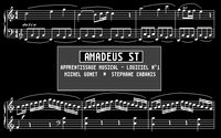 Amadeus ST Trivia