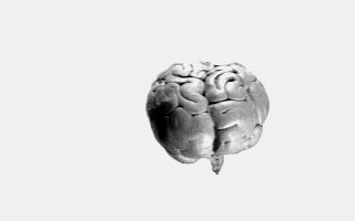 Brain Damage atari screenshot