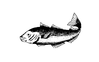 Clip Art Disk 03 - Animals: Fish and Wild atari screenshot