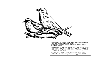 Clip Art Disk 04 - Bikes and Birds atari screenshot