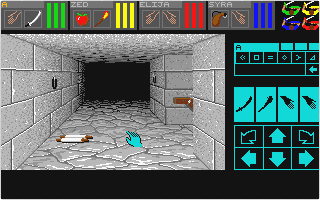 Dungeon Master atari screenshot