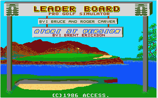 Leader Board Pro Golf Simulator