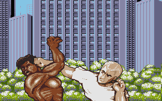 Street Fighter II - The World Warrior atari screenshot