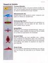 Bermuda Triangle Atari instructions