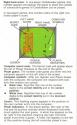 Codebreaker Atari instructions