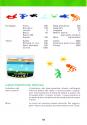 Crash Dive Atari instructions
