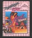 Custer's Revenge Atari cartridge scan