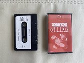 Donkey Kong Junior Atari tape scan