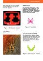 Haunted House Atari instructions