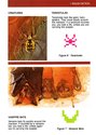 Haunted House Atari instructions