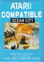 Ocean City Atari cartridge scan