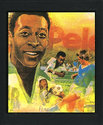 Pelé's Soccer Atari cartridge scan