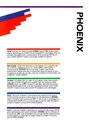 Phoenix Atari instructions