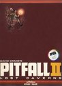 Pitfall II - Lost Caverns Atari cartridge scan
