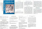 Private Eye Atari instructions