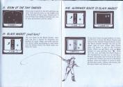 Raiders of the Lost Ark Atari instructions