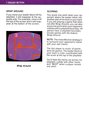 Surround Atari instructions