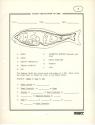 Elementary Biology Atari instructions