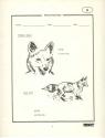 Elementary Biology Atari instructions