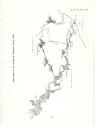 Expeditions Atari instructions