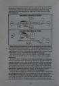 F-15 Strike Eagle Atari instructions