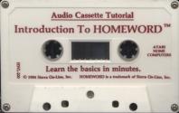 Homeword Atari disk scan
