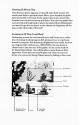 Sea Horse Hide'n Seek Atari instructions