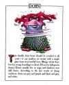 Sorcerer Atari instructions