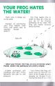 Pond (The) Atari instructions