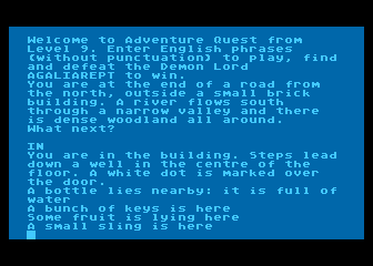 Adventure Quest — screenshot 1