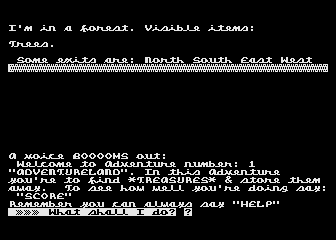 Adventure No. 1 - Adventureland — screenshot 1