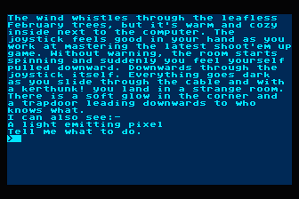 Computer Adventure — screenshot 1
