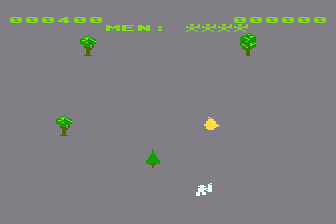 Forest Fire