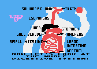 Human Body Series - Digestion atari screenshot