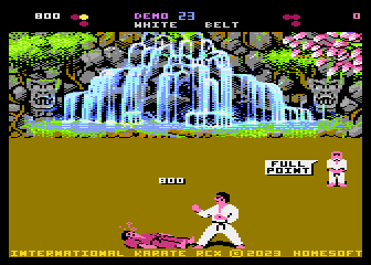 International Karate RCX atari screenshot