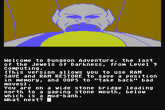 Jewels of Darkness — screenshot 8