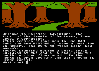 Jewels of Darkness — screenshot 2