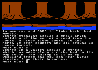 Jewels of Darkness — screenshot 3