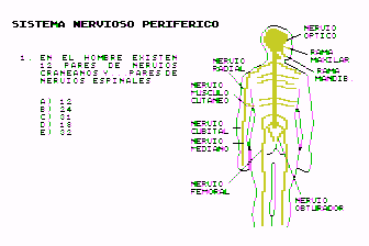 Mundo Interior - Volumen 14 - El Sistema Nervioso Periférico
