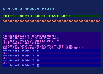 Mysterious Adventure No.  7 - Feasibility Experiment